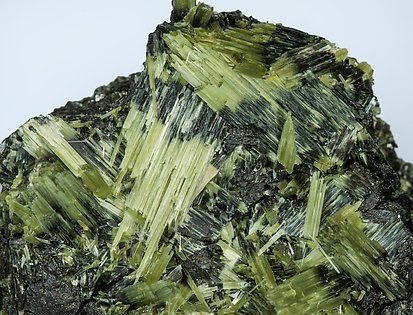 Actinolite-EC16AH8dm Actinolite EC16AH8dm